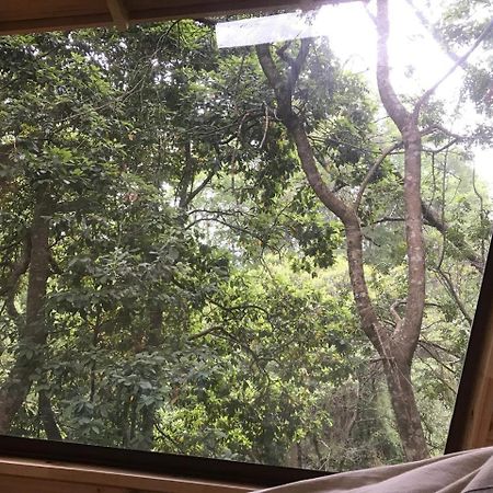 فندق فيلاريكافي  Cabanas Bosques De Loncotraro المظهر الخارجي الصورة