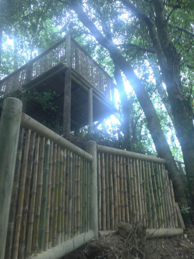 فندق فيلاريكافي  Cabanas Bosques De Loncotraro المظهر الخارجي الصورة