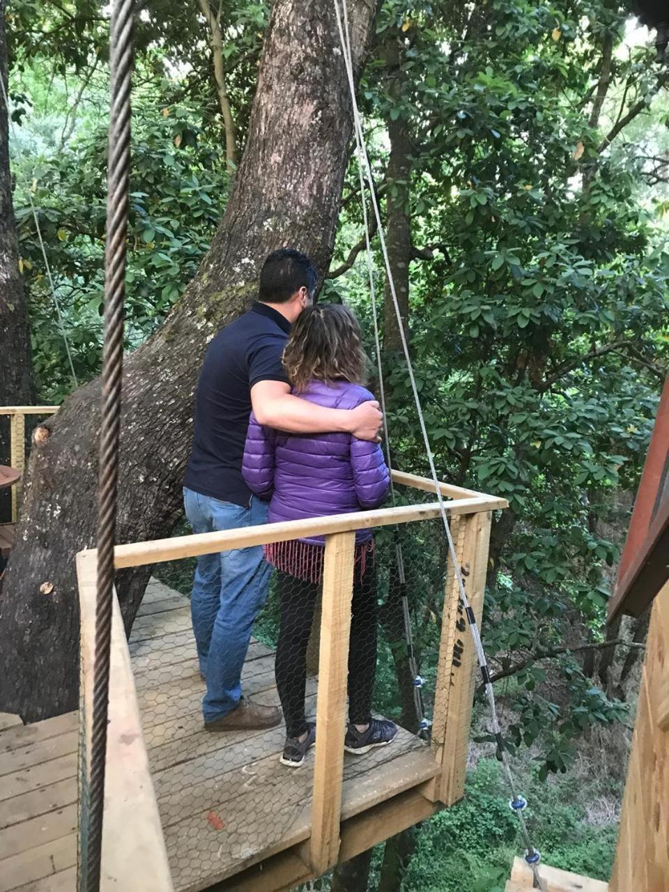 فندق فيلاريكافي  Cabanas Bosques De Loncotraro المظهر الخارجي الصورة
