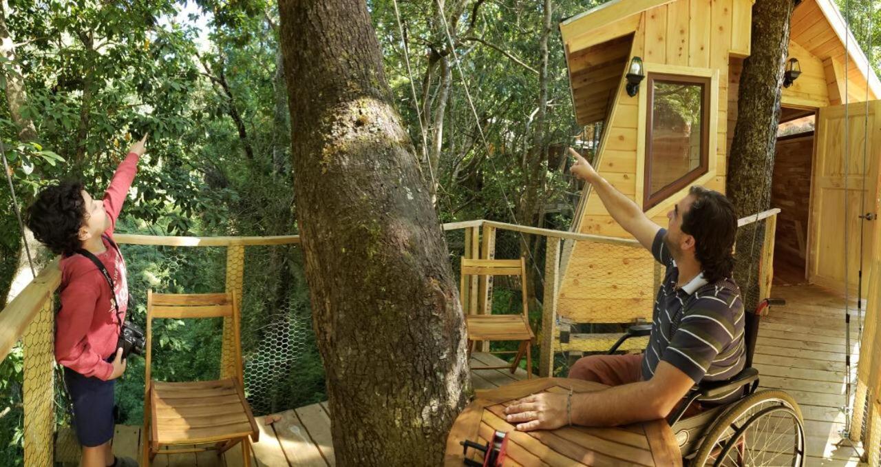فندق فيلاريكافي  Cabanas Bosques De Loncotraro المظهر الخارجي الصورة