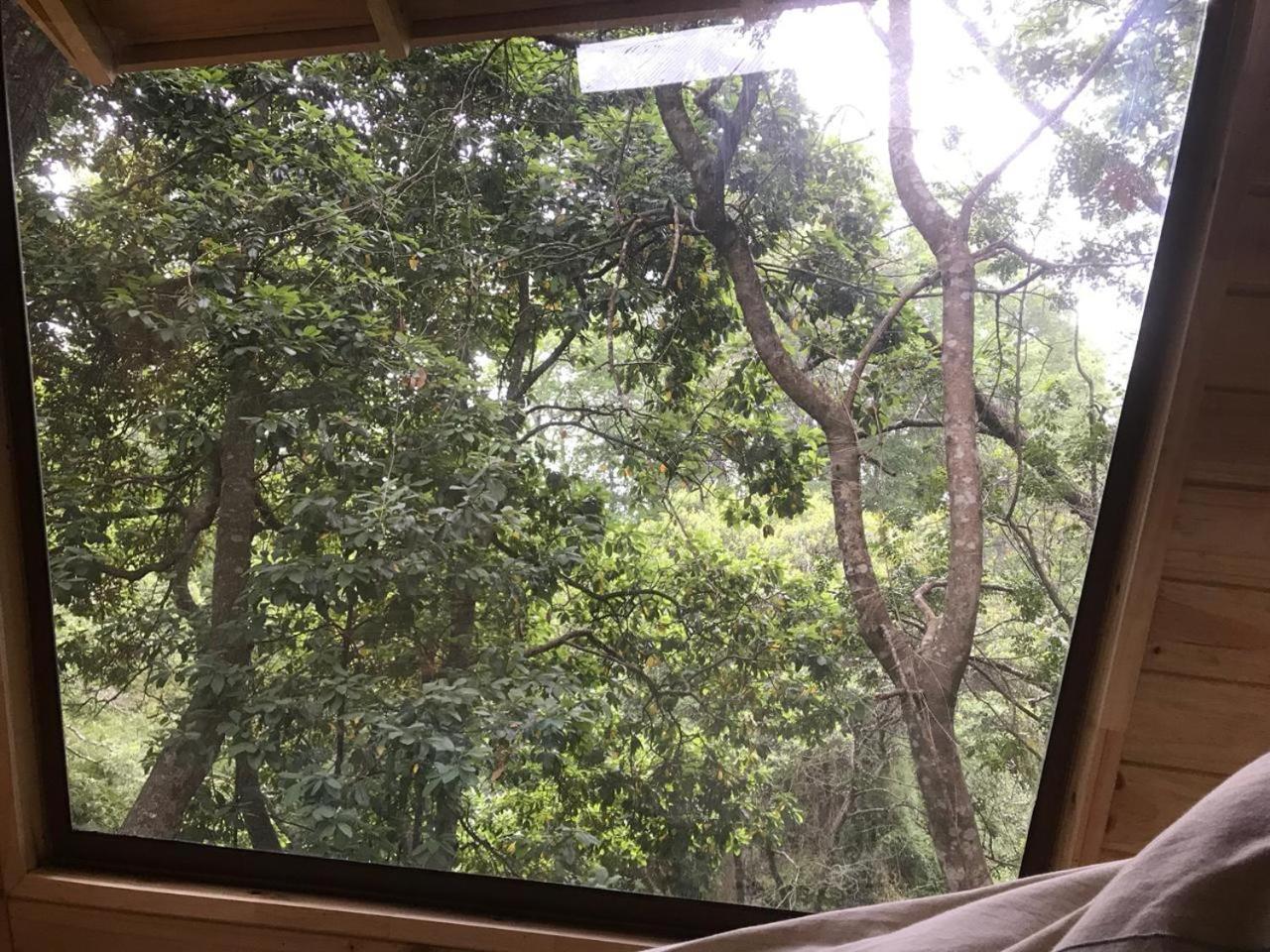 فندق فيلاريكافي  Cabanas Bosques De Loncotraro المظهر الخارجي الصورة