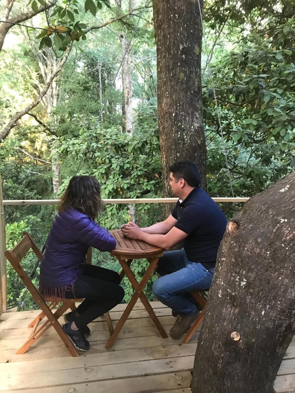 فندق فيلاريكافي  Cabanas Bosques De Loncotraro المظهر الخارجي الصورة