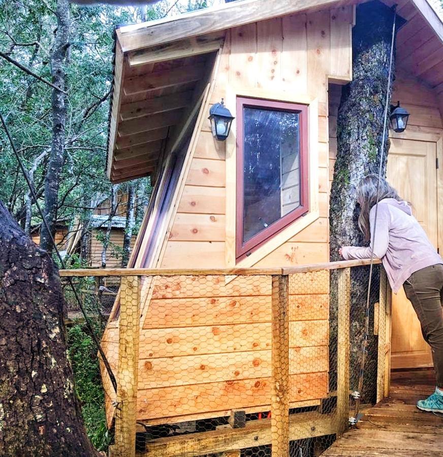 فندق فيلاريكافي  Cabanas Bosques De Loncotraro المظهر الخارجي الصورة