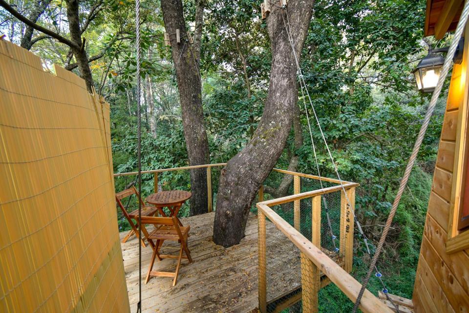 فندق فيلاريكافي  Cabanas Bosques De Loncotraro المظهر الخارجي الصورة