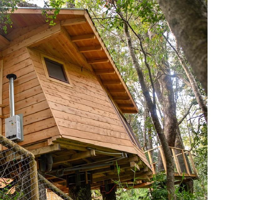 فندق فيلاريكافي  Cabanas Bosques De Loncotraro المظهر الخارجي الصورة