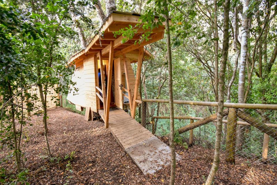 فندق فيلاريكافي  Cabanas Bosques De Loncotraro المظهر الخارجي الصورة